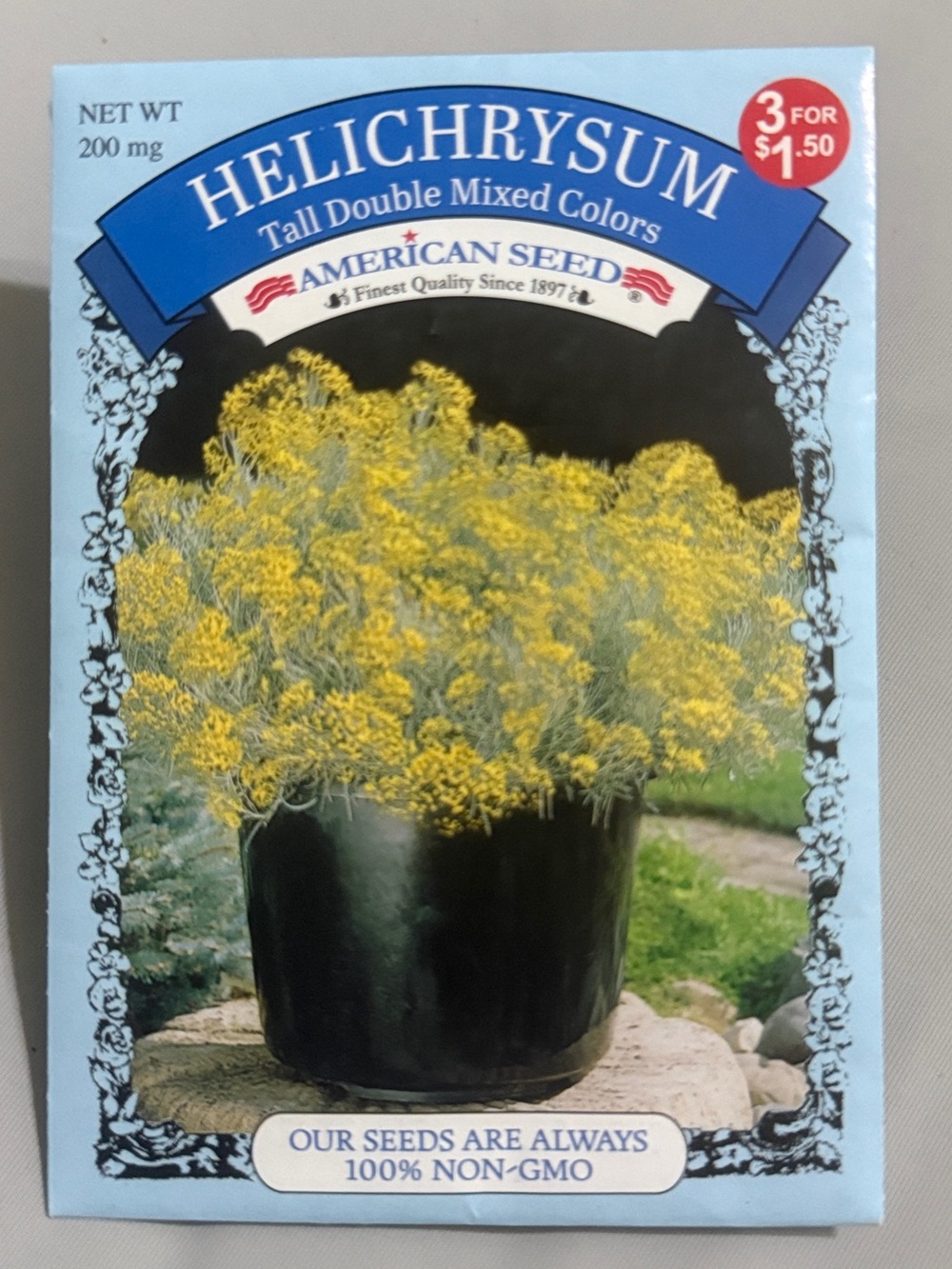 Helichrysum Tall Double Mixed Colors Seeds
